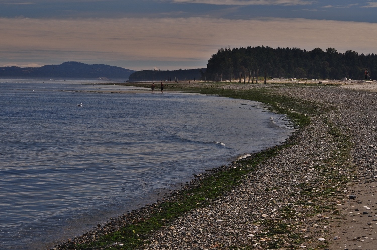 the spit